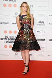 Moet British Independent Film Awards 2013, London