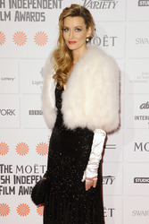 Moet British Independent Film Awards 2013, London