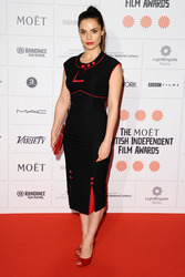 Moet British Independent Film Awards 2013, London