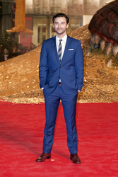 'Der Hobbit - Smaugs Einöde' Premiere, Berlin