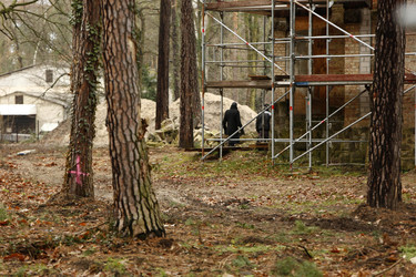 Brand in Bushidos Villa, Kleinmachnow