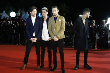Louis Tomlinson, Niall Horan, Liam Payne, Zayn Malik (One Direction)