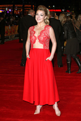 'The Harry Hill Movie' Premiere, London