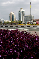 Am Dubai Creek, Dubai