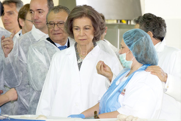 Königin Sofia besucht die CEDEL Foundation, Madrid