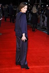 'The Invisible Woman' Premiere, London