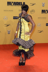 'Mandela - Der lange Weg zur Freiheit' Premiere, Berlin