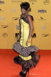 'Mandela - Der lange Weg zur Freiheit' Premiere, Berlin