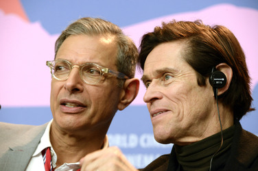 'The Grand Budapest Hotel' Pressekonferenz, Berlinale 2014