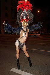 23. Wiener Rosenball, Wien