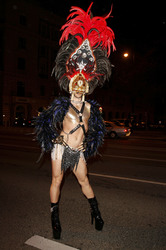 23. Wiener Rosenball, Wien
