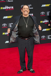 Disney's 'Muppets Most Wanted' Premiere, Los Angeles