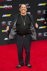 Disney's 'Muppets Most Wanted' Premiere, Los Angeles