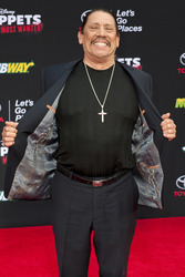 Disney's 'Muppets Most Wanted' Premiere, Los Angeles