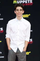 Disney's 'Muppets Most Wanted' Premiere, Los Angeles