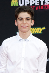 Disney's 'Muppets Most Wanted' Premiere, Los Angeles