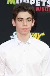 Disney's 'Muppets Most Wanted' Premiere, Los Angeles