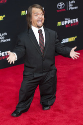 Disney's 'Muppets Most Wanted' Premiere, Los Angeles