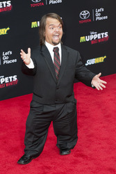 Disney's 'Muppets Most Wanted' Premiere, Los Angeles