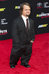 Disney's 'Muppets Most Wanted' Premiere, Los Angeles