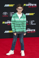 Disney's 'Muppets Most Wanted' Premiere, Los Angeles