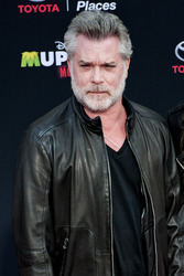 Disney's 'Muppets Most Wanted' Premiere, Los Angeles