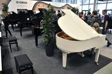 Yamaha, Flügel