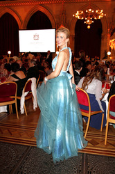 Filmball Vienna 2014, Wien