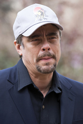 'A Perfect Day' Photocall, Madrid
