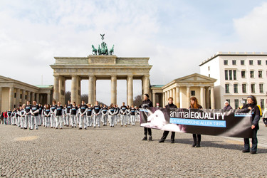 Tierkörperaktion vor dem Brandenburger Tor, Berlin