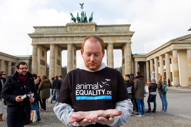 Tierkörperaktion vor dem Brandenburger Tor, Berlin
