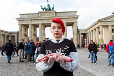 Tierkörperaktion vor dem Brandenburger Tor, Berlin