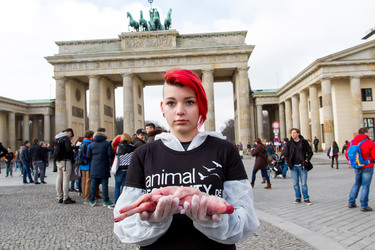 Tierkörperaktion vor dem Brandenburger Tor, Berlin