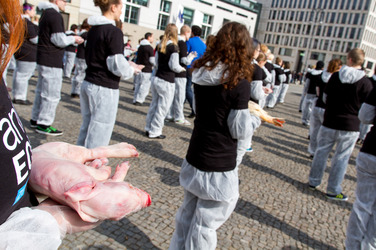 Tierkörperaktion vor dem Brandenburger Tor, Berlin