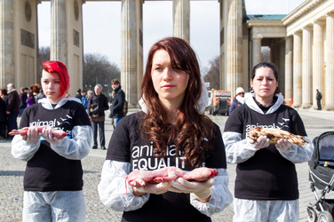 Tierkörperaktion vor dem Brandenburger Tor, Berlin