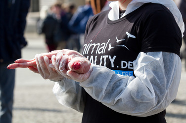 Tierkörperaktion vor dem Brandenburger Tor, Berlin