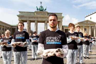 Tierkörperaktion vor dem Brandenburger Tor, Berlin