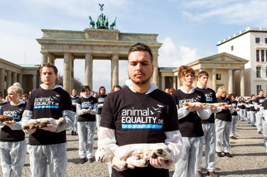 Tierkörperaktion vor dem Brandenburger Tor, Berlin