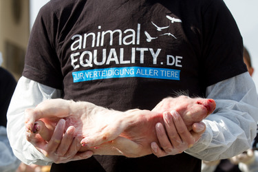 Tierkörperaktion vor dem Brandenburger Tor, Berlin