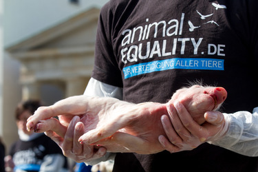 Tierkörperaktion vor dem Brandenburger Tor, Berlin
