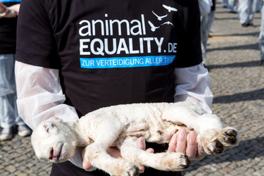 Tierkörperaktion vor dem Brandenburger Tor, Berlin