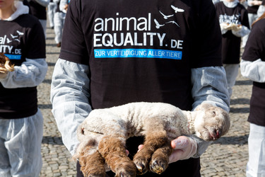 Tierkörperaktion vor dem Brandenburger Tor, Berlin