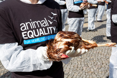 Tierkörperaktion vor dem Brandenburger Tor, Berlin