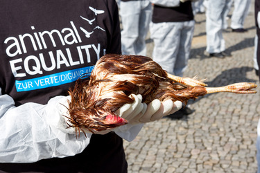 Tierkörperaktion vor dem Brandenburger Tor, Berlin