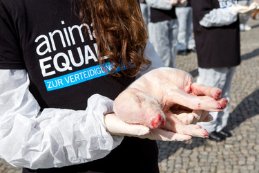 Tierkörperaktion vor dem Brandenburger Tor, Berlin