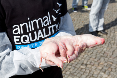 Tierkörperaktion vor dem Brandenburger Tor, Berlin