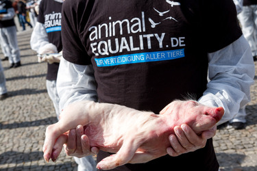 Tierkörperaktion vor dem Brandenburger Tor, Berlin
