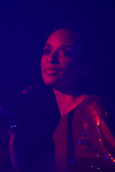 Marius Müller-Westernhagen Konzert, Hannover