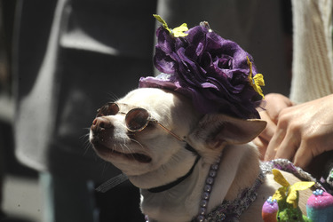 Easter Parade auf der 5th Avenue, New York
