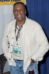 WonderCon 2014, Anaheim